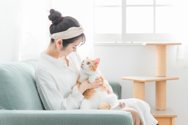 日常的なニオイ対策とお掃除のコツのイメージ画像
